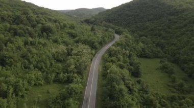 Otomobili otomobille gezerken hava aracı görüntüsü ilkbahar günü dağlık alanda ağaçların arasından geçerek - Sırbistan 'da Tresibaba Knjazevac - Seyahat yolculuğu ve tatil konsept araba sürüşü