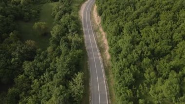 Otomobili otomobille gezerken hava aracı görüntüsü ilkbahar günü dağlık alanda ağaçların arasından geçerek - Sırbistan 'da Tresibaba Knjazevac - Seyahat yolculuğu ve tatil konsept araba sürüşü