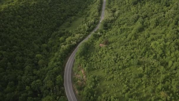 Aerial View Drone View Automobile Road Trough Trees Mountain Range — Stock Video