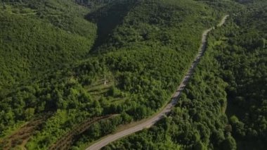Hava aracının otomobil üzerindeki görüntüsü ilkbahar güneşli bir günde dağlık alanda ağaçların arasından geçerek - Sırbistan 'da Tresibaba Knjazevac - seyahat yolculuğu ve tatil konsepti araba sürüşü