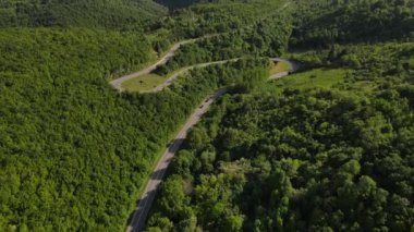 Hava aracının otomobil üzerindeki görüntüsü ilkbahar güneşli bir günde dağlık alanda ağaçların arasından geçerek - Sırbistan 'da Tresibaba Knjazevac - seyahat yolculuğu ve tatil konsepti araba sürüşü