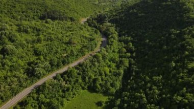Hava aracının otomobil üzerindeki görüntüsü ilkbahar güneşli bir günde dağlık alanda ağaçların arasından geçerek - Sırbistan 'da Tresibaba Knjazevac - seyahat yolculuğu ve tatil konsepti araba sürüşü