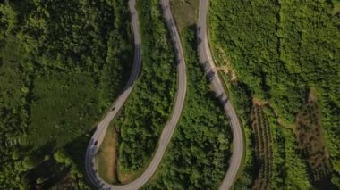 Hava aracının otomobil üzerindeki görüntüsü ilkbahar güneşli bir günde dağlık alanda ağaçların arasından geçerek - Sırbistan 'da Tresibaba Knjazevac - seyahat yolculuğu ve tatil konsepti araba sürüşü