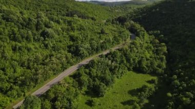 Hava aracının otomobil üzerindeki görüntüsü ilkbahar güneşli bir günde dağlık alanda ağaçların arasından geçerek - Sırbistan 'da Tresibaba Knjazevac - seyahat yolculuğu ve tatil konsepti araba sürüşü