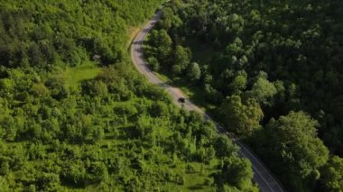 Hava aracının otomobil üzerindeki görüntüsü ilkbahar güneşli bir günde dağlık alanda ağaçların arasından geçerek - Sırbistan 'da Tresibaba Knjazevac - seyahat yolculuğu ve tatil konsepti araba sürüşü