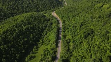 Hava aracının otomobil üzerindeki görüntüsü ilkbahar güneşli bir günde dağlık alanda ağaçların arasından geçerek - Sırbistan 'da Tresibaba Knjazevac - seyahat yolculuğu ve tatil konsepti araba sürüşü