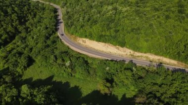 Hava aracının otomobil üzerindeki görüntüsü ilkbahar güneşli bir günde dağlık alanda ağaçların arasından geçerek - Sırbistan 'da Tresibaba Knjazevac - seyahat yolculuğu ve tatil konsepti araba sürüşü