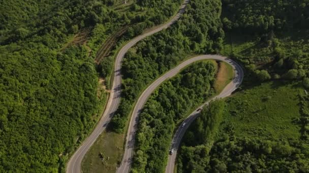 Letecký Pohled Drone Pohled Automobil Silnici Koryto Stromů Pohoří Jaře — Stock video