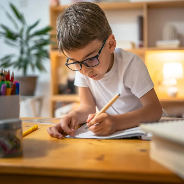 Ung Pojke Barn Elev Studera Arbete Med Läxor Uppdrag Hemma — Stockfoto