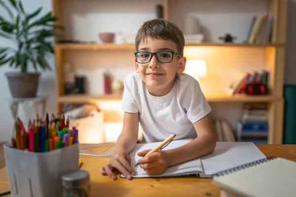 Young Boy Child Kid Pupil Study Work Homework Assignment Home — Stock Photo, Image