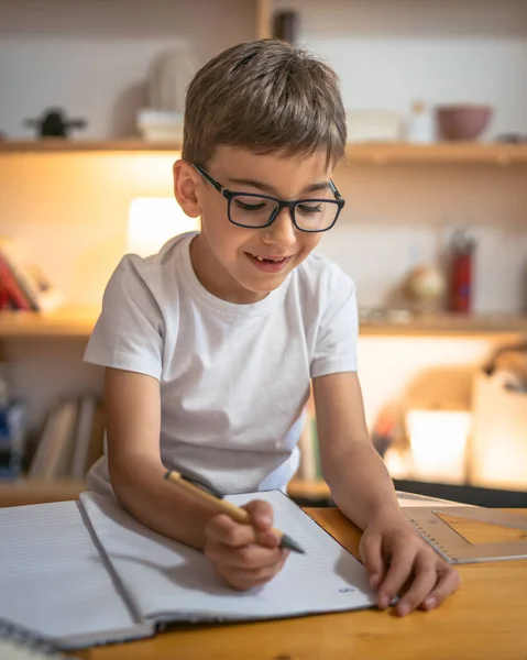 Young Boy Child Kid Pupil Study Work Homework Assignment Home — Stock Photo, Image