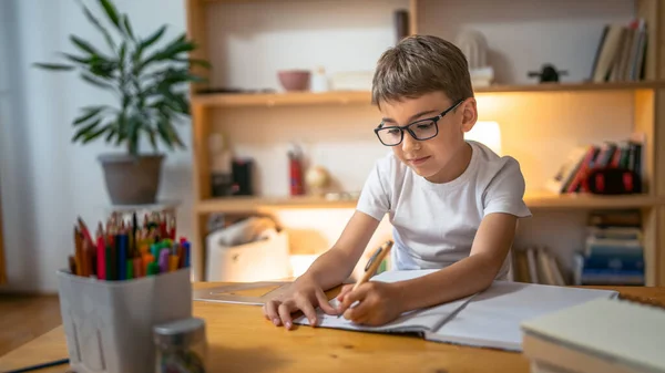Ung Pojke Barn Elev Studera Arbete Med Läxor Uppdrag Hemma — Stockfoto