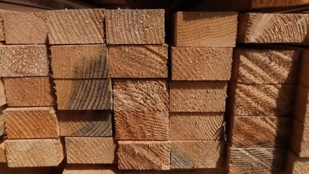 Tumpukan Papan Kayu Kayu Balok Kayu Kayu Pinus Kayu Industri — Stok Video