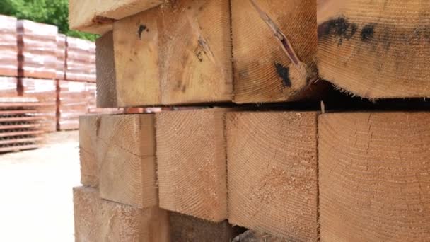 Tumpukan Papan Kayu Kayu Balok Kayu Kayu Pinus Kayu Industri — Stok Video