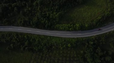 Sırbistan 'da yeşillik ve manzara taşımacılığı ve seyahat konseptiyle çevrili dolambaçlı yol boyunca giden yaz aracı otomobili sırasında bir dağ sırasındaki eğimli asfalt bir yolun hava aracı görüntüleri