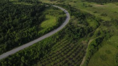 Sırbistan 'da yeşillik ve manzara taşımacılığı ve seyahat konseptiyle çevrili dolambaçlı yol boyunca giden yaz aracı otomobili sırasında bir dağ sırasındaki eğimli asfalt bir yolun hava aracı görüntüleri