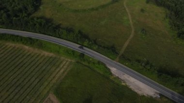 Sırbistan 'da yeşillik ve manzara taşımacılığı ve seyahat konseptiyle çevrili dolambaçlı yol boyunca giden yaz aracı otomobili sırasında bir dağ sırasındaki eğimli asfalt bir yolun hava aracı görüntüleri
