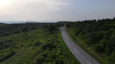 Sırbistan 'da yeşillik ve manzara taşımacılığı ve seyahat konseptiyle çevrili dolambaçlı yol boyunca giden yaz aracı otomobili sırasında bir dağ sırasındaki eğimli asfalt bir yolun hava aracı görüntüleri