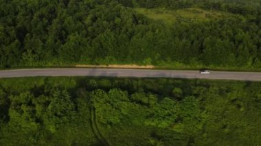 Sırbistan 'da yeşillik ve manzara taşımacılığı ve seyahat konseptiyle çevrili dolambaçlı yol boyunca giden yaz aracı otomobili sırasında bir dağ sırasındaki eğimli asfalt bir yolun hava aracı görüntüleri