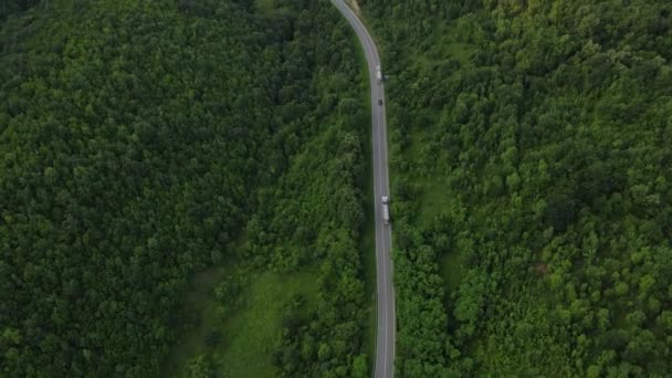세르비아 지방에서 꼬불꼬불 한길을 주위에 풍경의 개념으로 둘러싸인 항공기의 — 비디오