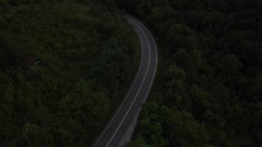 Sırbistan 'da yeşillik ve manzara taşımacılığı ve seyahatleriyle çevrili dolambaçlı yol boyunca giden yaz akşamı aracının bir dağ sırasındaki eğimli asfalt bir yolun hava aracı görüntüleri