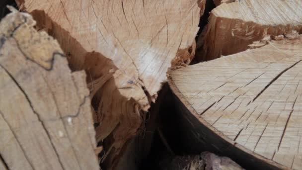 Stos Drewna Opał Siekane Drewno Ułożone Stosy Gotowe Zimę — Wideo stockowe