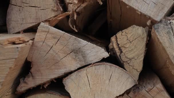 堆积起来准备过冬的一堆木柴 — 图库视频影像