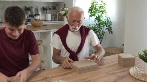 Senior Man Grootvader Gepensioneerde Grijze Haren Baard Met Zijn Kleinzoon — Stockvideo