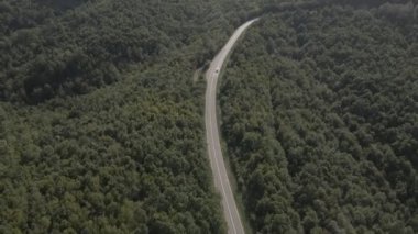 Sırbistan 'da yeşil ve manzara taşımacılığı ve seyahat konseptiyle çevrili dolambaçlı yol boyunca giden bahar aracı otomobili sırasında, bir dağ sırasındaki eğimli asfalt bir yolun hava aracı görüntüleri
