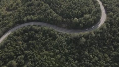 Sırbistan 'da yeşil ve manzara taşımacılığı ve seyahat konseptiyle çevrili dolambaçlı yol boyunca giden bahar aracı otomobili sırasında, bir dağ sırasındaki eğimli asfalt bir yolun hava aracı görüntüleri