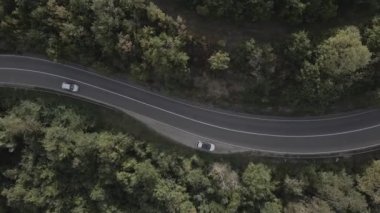 Sırbistan 'da yeşil ve manzara taşımacılığı ve seyahat konseptiyle çevrili dolambaçlı yol boyunca giden bahar aracı otomobili sırasında, bir dağ sırasındaki eğimli asfalt bir yolun hava aracı görüntüleri