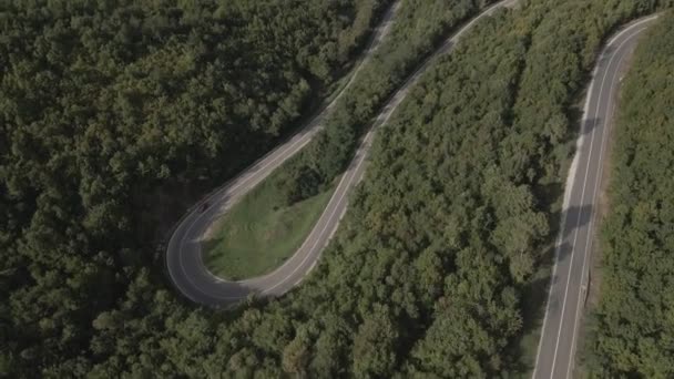 緑と風景輸送と旅行の概念に囲まれたセルビアの曲がりくねった道に沿って運転春の車両の間に山脈上の曲技アスファルト道路の空中ドローン映像 — ストック動画