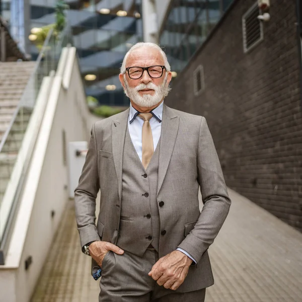 Portret Van Senior Man Met Baard Zakenman Pak Staan Buiten — Stockfoto