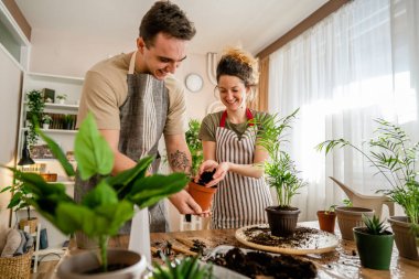 Couple caucasian man and woman wife and husband planting flowers together taking care of home plants real people domestic life family gardening concept copy space