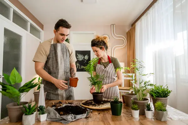Couple caucasian man and woman wife and husband planting flowers together taking care of home plants real people domestic life family gardening concept copy space
