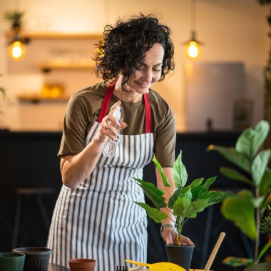 Yetişkin bir kadın, beyaz kadın bahçıvan ya da çiçekçi ev spreyi beslenme konsepti fotokopi alanında ev çiçekleri yetiştirir ve yetiştirir.
