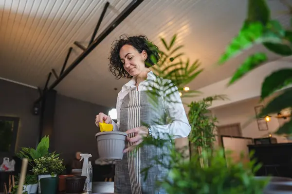 一人の成熟した女性の白人女性庭師または花屋は世話をし 家庭菜園の概念コピースペースで国内の花の植物を栽培する — ストック写真