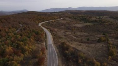 Sonbahar günü Sırbistan 'ın Tresibaba Knjazevac Dağı' ndaki dağ sırasındaki ağaçlar ve ormanlar boyunca giden yol kamyonundaki hava aracı görüntüsü