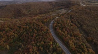 Sonbahar günü Sırbistan 'ın Tresibaba Knjazevac Dağı' ndaki dağ sırasındaki ağaçlar ve ormanlar boyunca giden yol kamyonundaki hava aracı görüntüsü