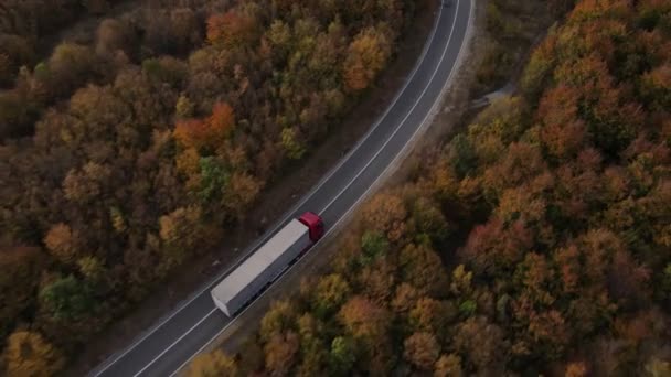 Drohnenbild Auf Der Straße Lkw Fahren Durch Die Bäume Und — Stockvideo