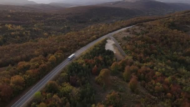 Aerial View Drone Image Road Truck Drive Trough Trees Forest — Stock Video