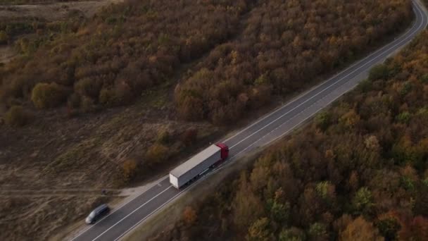 Aerial View Drone Image Road Truck Drive Trough Trees Forest — Stock Video