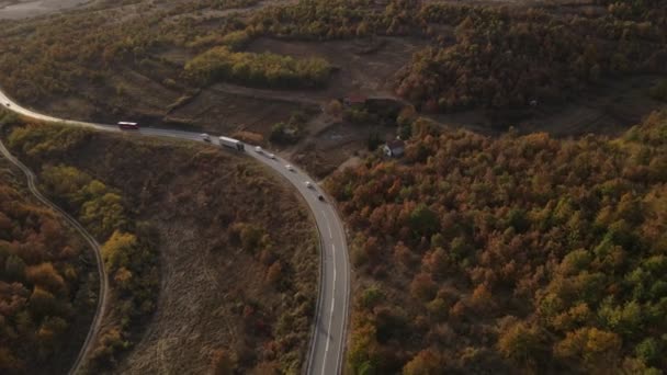 Luchtfoto Drone Beeld Weg Vrachtwagen Rijden Door Bomen Het Bos — Stockvideo