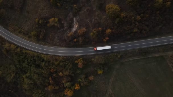 Vista Aérea Imagen Del Dron Camión Carretera Través Los Árboles — Vídeo de stock