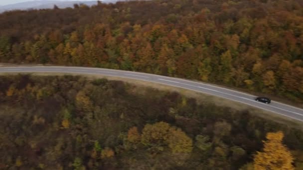 Auto Pohon Horském Pásmu Příroda Letecký Pohled Podzim Den — Stock video