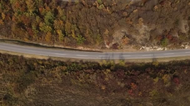 Vista Aérea Del Dron Camino Asfalto Vacío Día Otoño Cordillera — Vídeo de stock