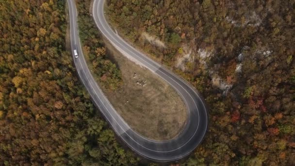 Aerial Drone View Van Conduciendo Curvy Mountain Asphalt Road Otoño — Vídeo de stock