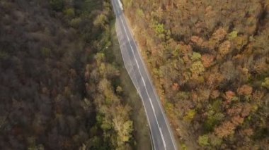 Sırbistan 'ın sonbahar günü Tresibaba Dağı' ndaki ağaçlar ve ormanlar boyunca seyahat ve tatil konsepti üzerinde tepeden tırnağa insansız hava aracı görüntüsü