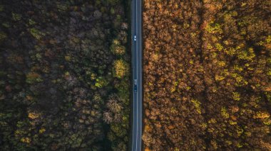 Knjazevac Sırbistan yakınlarındaki sonbahar günü Tresibaba sıradağları hava manzaralı otomobil turu