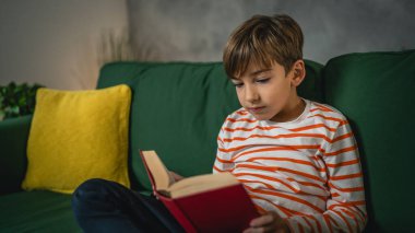 Evdeki beyaz bir çocuk akşam manzaralı bir kitap okudu. Gerçek insanların eğitim konseptini kopyaladı.